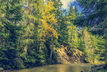 autumn amazing landscape. colorful trees  over the mountain river