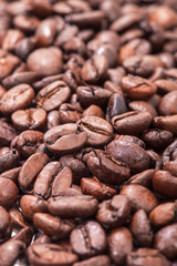 the coffee arabica grains.