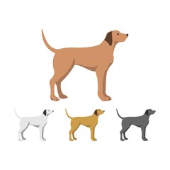 Vector Illustration of Dog Flat Design Set Color