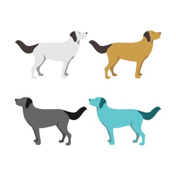 Vector Illustration of Dog Flat Design Set Color