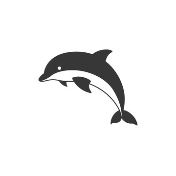 silhouette dolphin icon vector