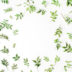 Fototapeta na wymiar Frame of green branches and leaves on white background. Flat lay, top view