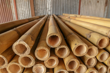 Background of cylindrical timber stacked.