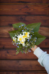 Close up of woman's hand holding garden flowers. Beautiful spring bouquet of narcissus, forget me not and fresh leaves on the dark wooden background. Summer bunch of nice flowers.  Floristry