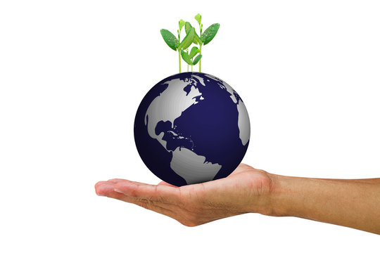 Man's hand holding growing young green sprouts from globe on white background
