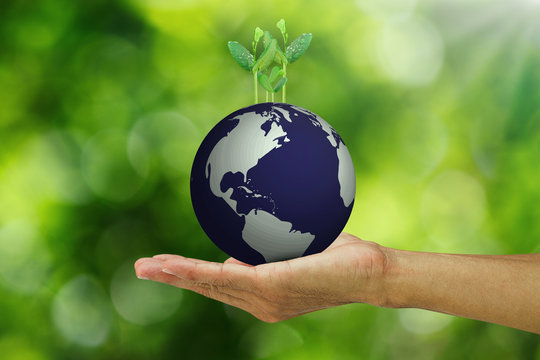 Man's hand holding growing young green sprouts from globe on blurred green bokeh background