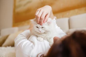 Cute curly girl in a white silk dressing gown in the early morning playing with white fluffy cat sitting on sofa

