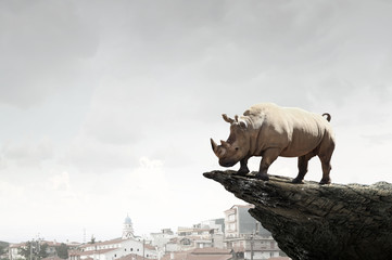Power and leadership concept . Mixed media © Sergey Nivens