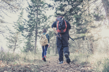 Naklejka premium Couple of hikers walking in the forest