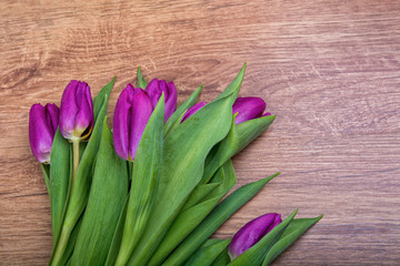 Violet tulips on a wooden background