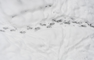 Obraz premium foot prints on snow