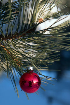 closeup of red vintage glass Christmas ornament hanging from branch of snow covered pine tree in the woods