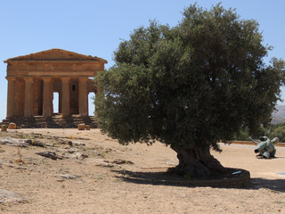 Fototapeta na wymiar Valle dei Templi - Tempio della Concordia