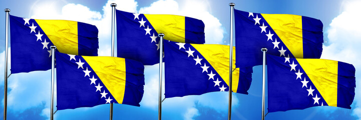 Bosnia and Herzegovina flags, 3D rendering, on a cloud backgroun