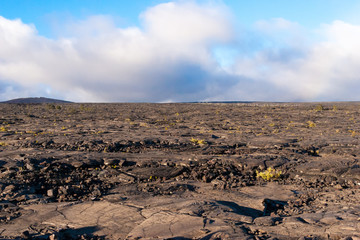 Lava zone of Hawaii island