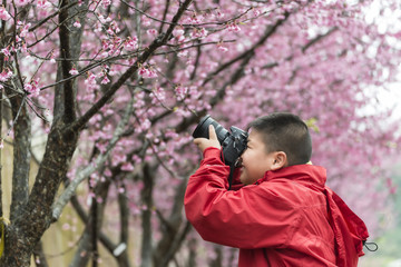 Happy a boy traveler photo by camera with sakura tree on vacation in japan