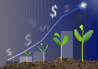 Growing sprouts with bar graph and blurred dollar sign background