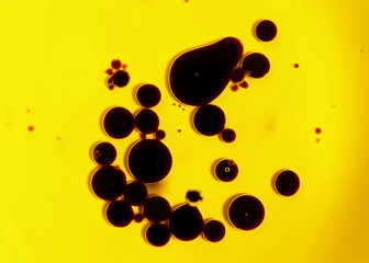 balsamic and olive oil