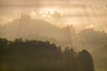 Sunshine beam on fog hill