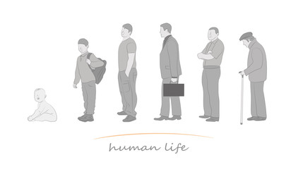 human life at different ages. vector illustration