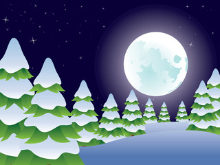 Obraz na płótnie Canvas Night Winter Landscape