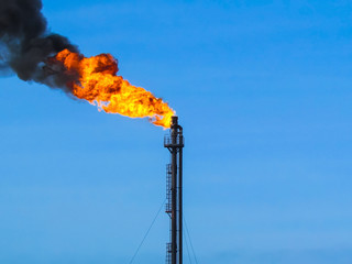 Torch system on an oil field