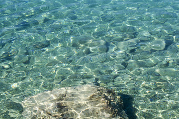 Dalmatinische Gewässer