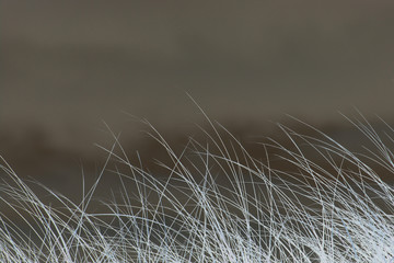 herbes blanc gris effet négatif