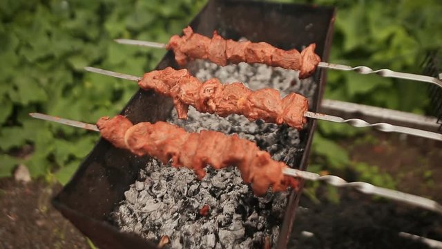 Kebab roasted outdoors on skewers.