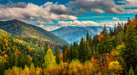 Autumn hills and trees with blue sky and sunlight. Colorful autumn landscape in the mountain.