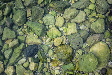 Green stones in the water. Background.