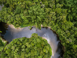 Top View of Amazon Rainforest, Brazil © gustavofrazao