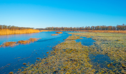 Shore of a frozen lake at sunrise in winter