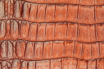 Brown scales macro background, embossed under the skin of a crocodile, cognac tones, trend, 