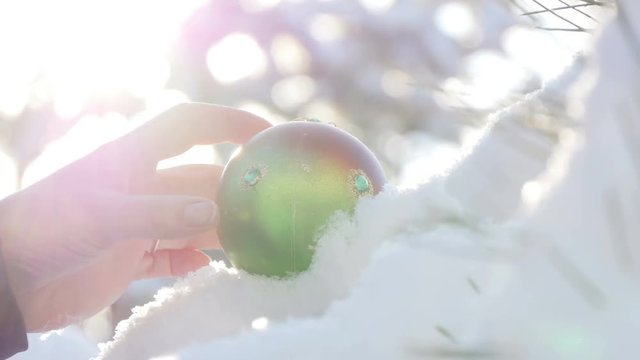 Beautiful tree covered with snow, close-up view, in the frosty winter, the Christmas forest