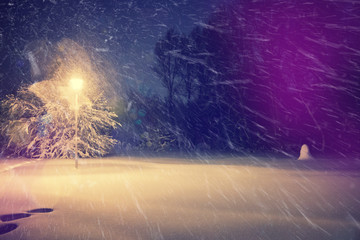 wonderful winter landscape. Winter scenery,snowstorm in a night city park. Picturesque and gorgeous wintry scene. inctagram toning. retro style.