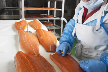 spinatura industriale di filetti di salmone