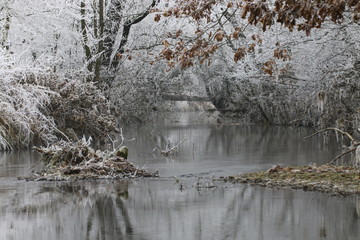  winterlandschaft am fluß