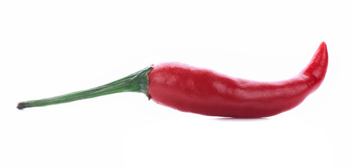 red chili or chilli cayenne pepper isolated on white background