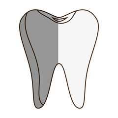 teeth dental care isolated icon vector illustration design