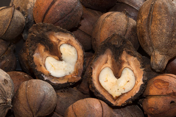 Two Walnut Hearts