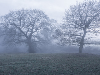 Obraz na płótnie Canvas Late afternoon fog over Cheshire countryside, UK