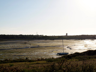 OLYMPUS DIGITAL CAMERA © martagro