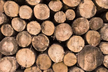 Printed roller blinds Firewood texture Stacked pile of cut timber, tree trunks, firewood - for texture or background.