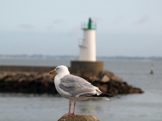 OLYMPUS DIGITAL CAMERA © martagro