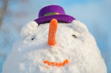 Snowman with purple hat. Facial portrait