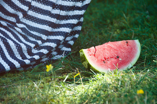 Watermelon on grass