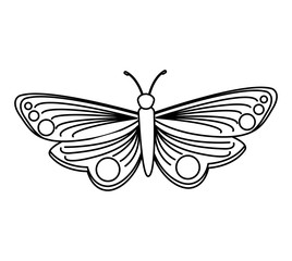 cute butterfly isolated icon vector illustration design