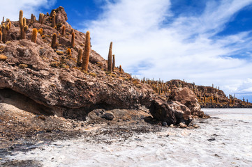 Incahuasi island in the Uyuni salt flat, Bolivia