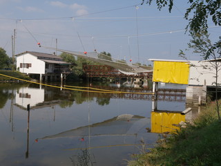 Valli di Comacchio - bilancione di pesca